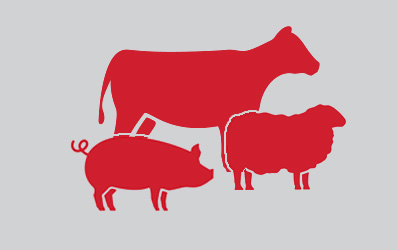 livestock icon