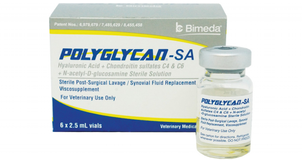 Polyglycan® 关节新